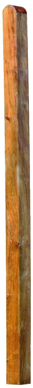 Zaunpfosten