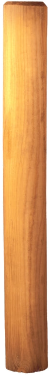 Baumpfahl